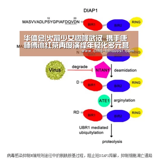 华体会|火箭少女燃降武汉 携手康师傅冰红茶再度演绎年轻化多元营销(图2) 华体会app